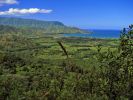 Hanalei-Okolehao Trail